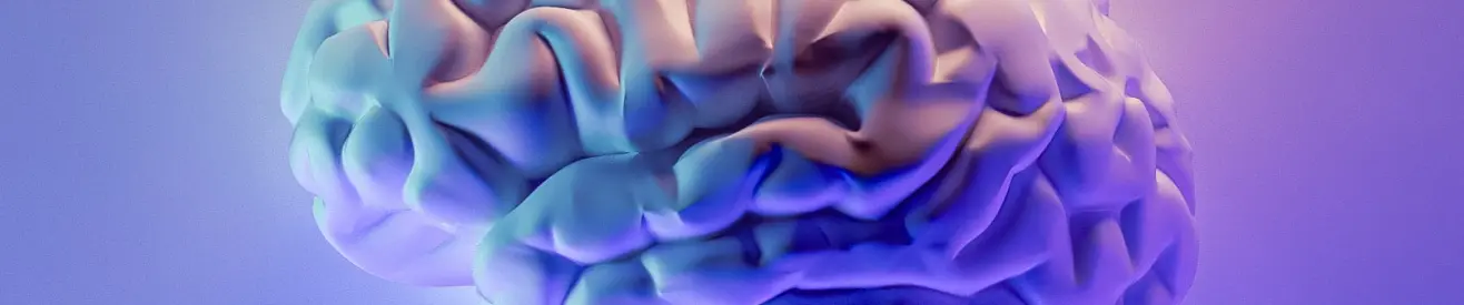 Bachelor of Public Health (Disease Control)